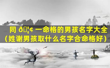 同 🦢 一命格的男孩名字大全（姓谢男孩取什么名字合命格好）